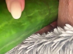 Masturbationen with reference to cucumber